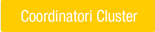 Cluster Coordinators