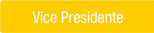 Vice President